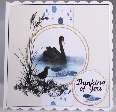 Black swan - just for you by Irene Woods