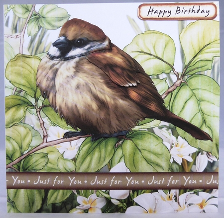 Sparrow 7x7 Quick Card by Irene Woods