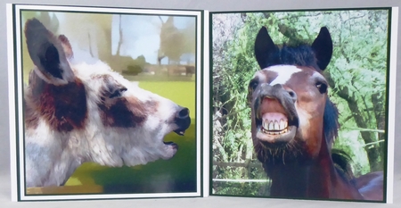 Donkey and Horse Topper by Irene Woods