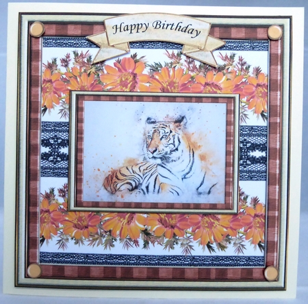 Tiger Tiger by Irene Woods