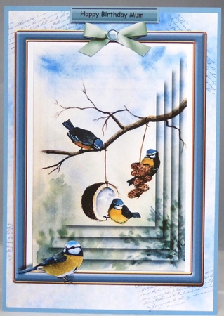 Garden Blue Tits by Irene Woods