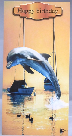 dolphin by Irene Woods