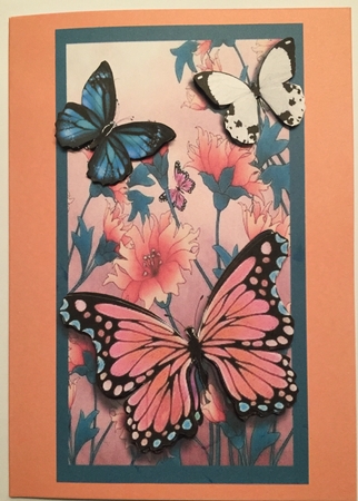 beautiful butterflies by Irene Woods