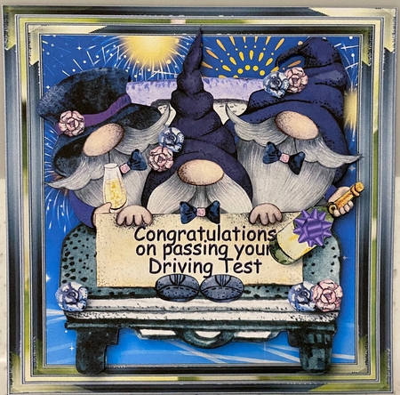 Driving Test Pass by Irene Woods