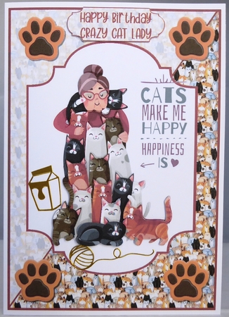 Crazy cat lady A5 by Irene Woods