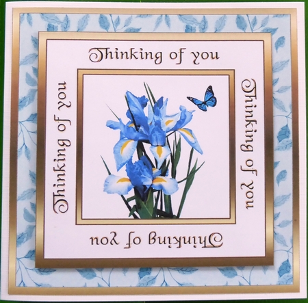 SC Blue Irises (Thinking of you) by Irene Woods