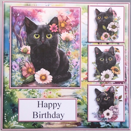 7x7 Black Cat Floral Path by Irene Woods