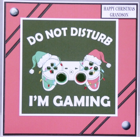 DO NOT DISTURB IM GAMING by Irene Woods