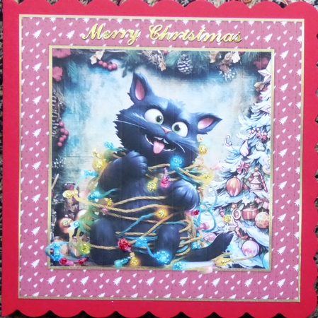 Black cat in a tangle Christmas card front 9 by Irene Woods