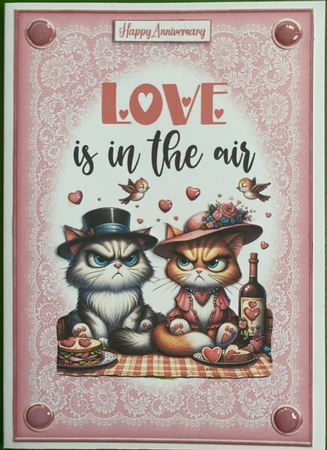 Fun & cheeky Romance & Anniversary 6 Toppers & 2 x Inserts kit  by Irene Woods