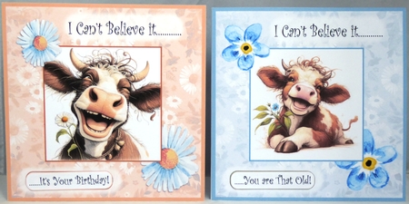 Funny Moo Birthday by Irene Woods