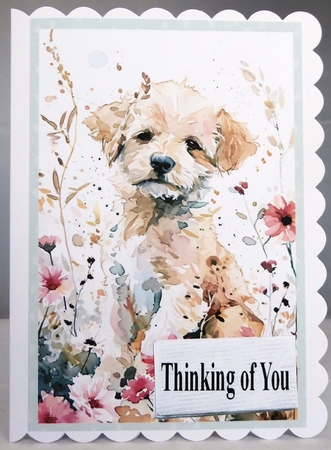 Bueatiful Dog  Birthday. by Irene Woods