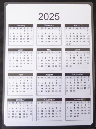 2025 CALENDAR Short Back N Sides by Irene Woods
