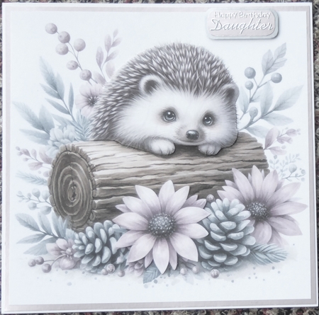 Cute Peeping Hedgehog. 9 Piece Card Kit. by Irene Woods