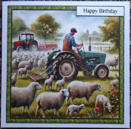 down on the farm by Irene Woods
