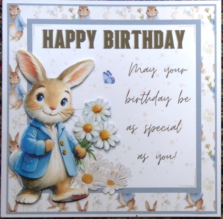 Peter Rabbit Mini Kit by Irene Woods