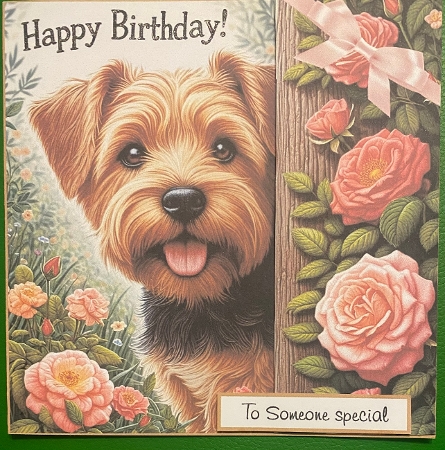 norfolk terrier and flowers happy birthday by Irene Woods