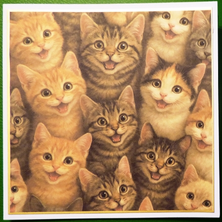 Backing Paper - Kittens by Irene Woods