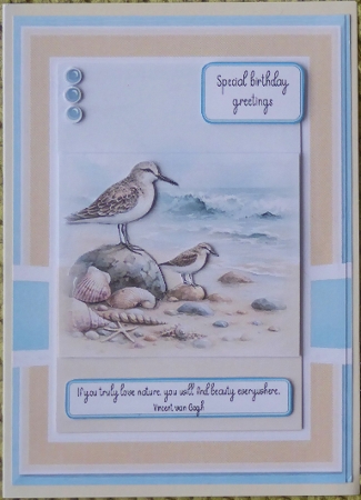 Love Nature Birthday by Irene Woods