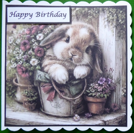 Cute little Bunnies by Irene Woods