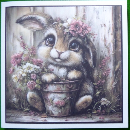 Cute little Bunnies by Irene Woods