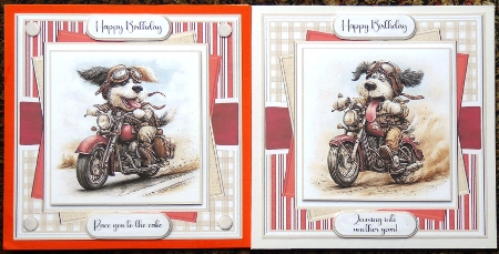 Thrill of the Ride by Irene Woods
