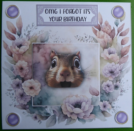 Funny Squirrel Birthday 7 x 7 Card by Irene Woods