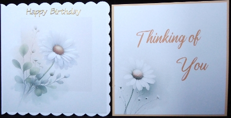 Single Daisy Light by Irene Woods