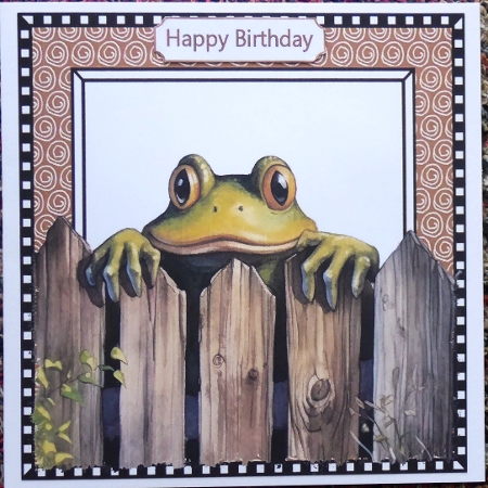Funny Frog Peeking Over Fence 8x8 (EIGHT) by Irene Woods