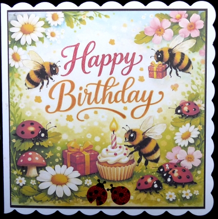 lady birds and bees Featured Gallery Photo