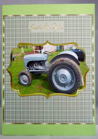 A Classic Massey Ferguson Tractor Topper and Tags 3 by Irene Woods