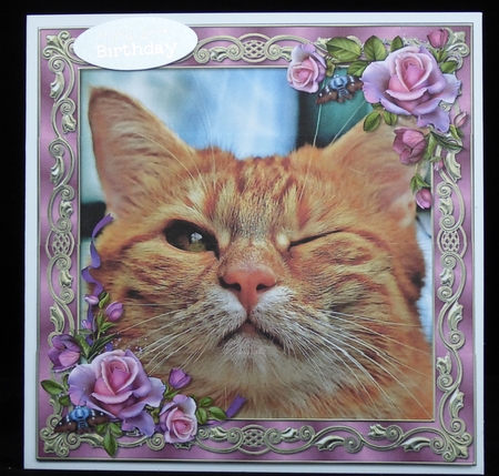 Cute Funny Cat Bottom Stacker by Irene Woods