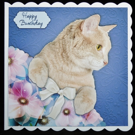 Cute Ginger Kitty with Embossed look and faux Corner Pocket by Irene Woods
