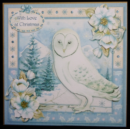 The Christmas Owl by Irene Woods