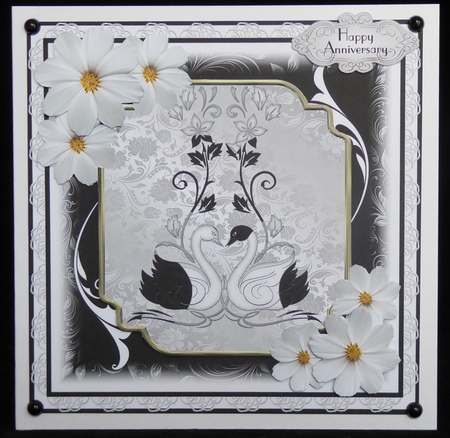 Monochrome Swans by Irene Woods