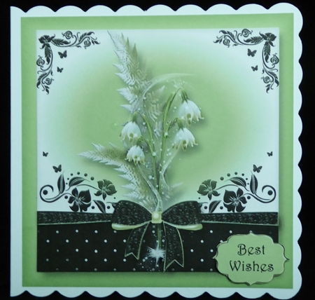 The Gift Of Snowdrops by Irene Woods