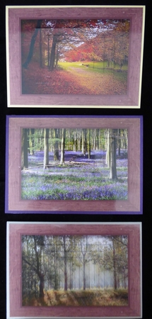 Tranquil Woodlands A5 Pyramid Bumper Kit by Irene Woods