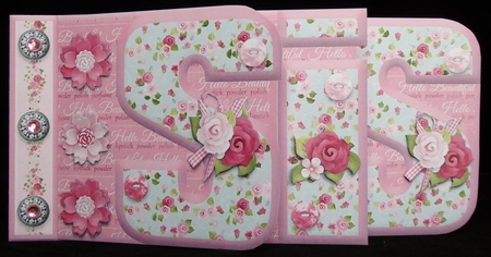 Always Look on the Pink side of life SIS Word Book by Irene Woods