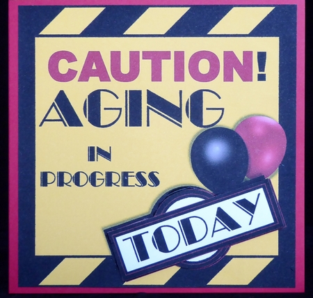 Aging in Progress Caution - General Birthday by Irene Woods