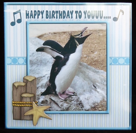Funny Singing Penguin Birthday Card Topper ages12 to 17and blank by Irene Woods