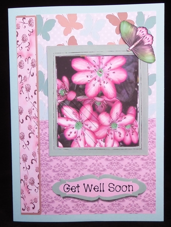pink flowers get well by Irene Woods