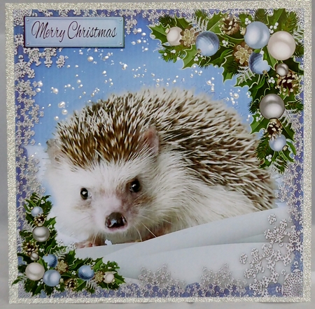 Adorable Hedgehog In The Snow 8x8 by Irene Woods