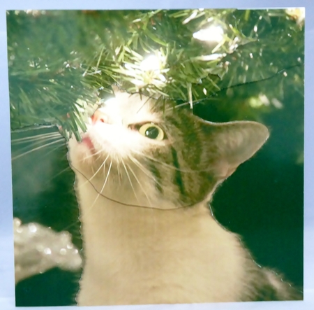 Yule Tide Magic - Kitty Greetings - 3D Decoupage kit + Insert & Gift Tag by Irene Woods