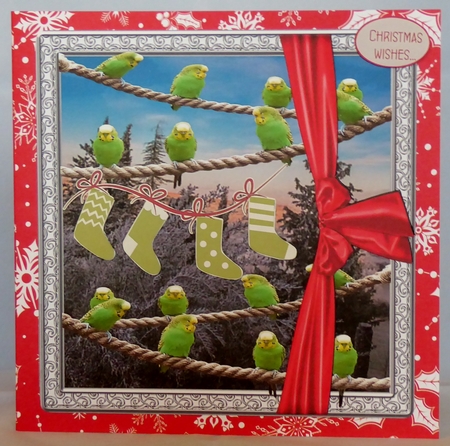 CHRISTMAS BUDGIES by Irene Woods