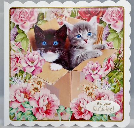 Kittens In A Box by Irene Woods