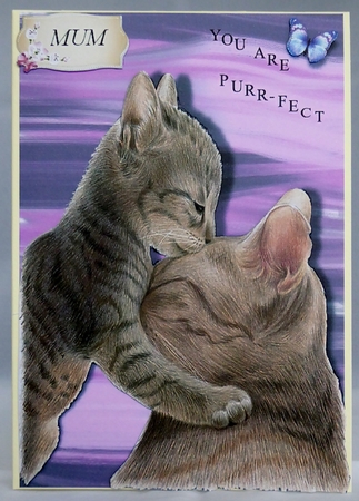 kitten by Irene Woods