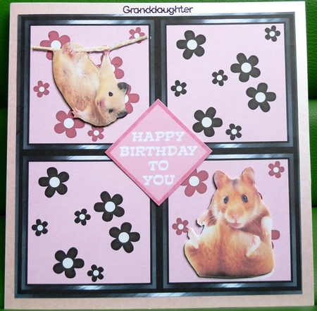 Hamster Birthday by Irene Woods