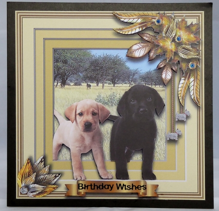Animals Stepping Out - Labradors by Irene Woods