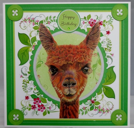 Gorgeous Alpaca 8x8 by Irene Woods