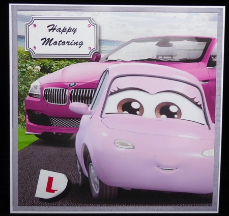 Driving test congratulations for female by Irene Woods